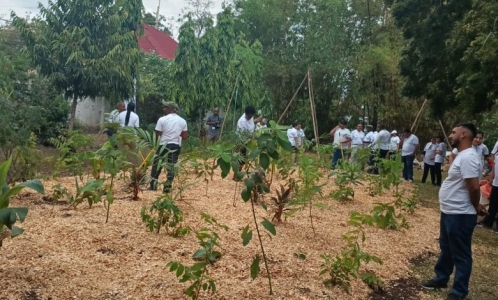 Volunteers plant 165 seeds, 200 sampling trees in Dar es Salaam